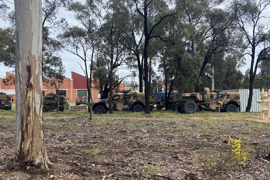 A photo of army bush vehicles around trees. 