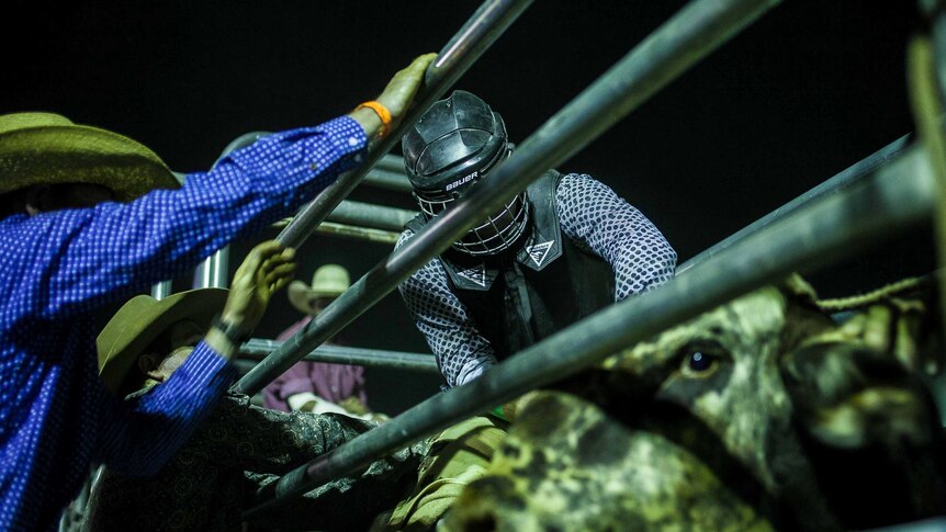 Up close with bull at rodeo