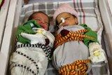 Babies in Khost maternity hospital in Afghanistan.
