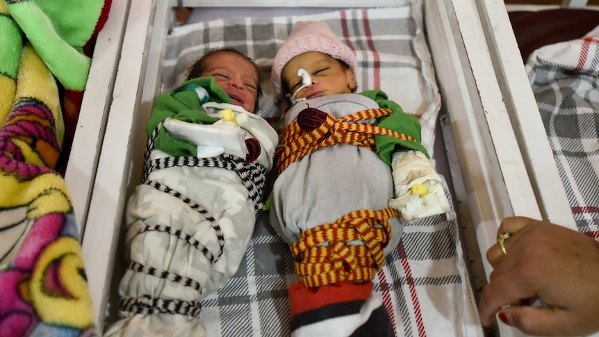 Babies in Khost maternity hospital in Afghanistan.