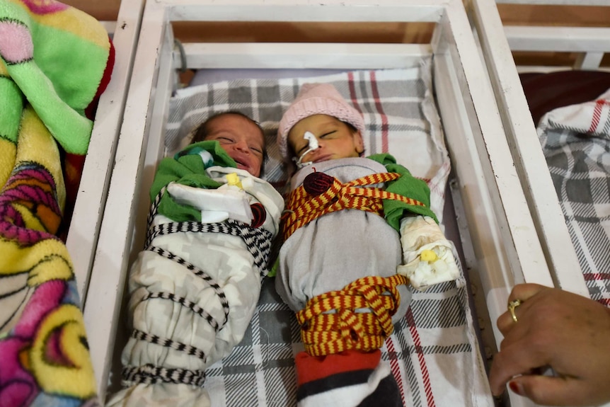 Babies in Khost maternity hospital in Afghanistan.