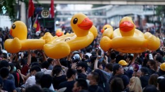 A crowd of protesters holding aloft yellow inflatable rubber ducks.