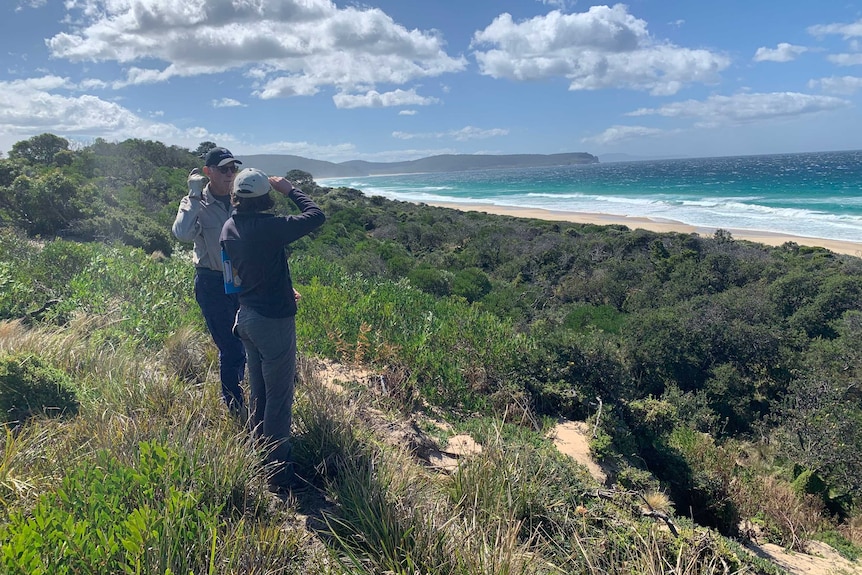 Paul Davis on his Bruny Island property near penguin burrows