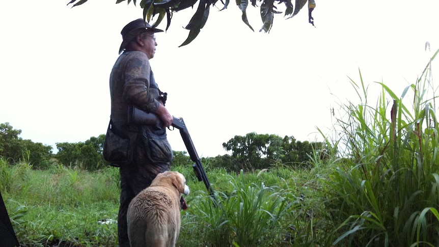 Bart Irwin and his retriever dog Roy wait for magpie geese