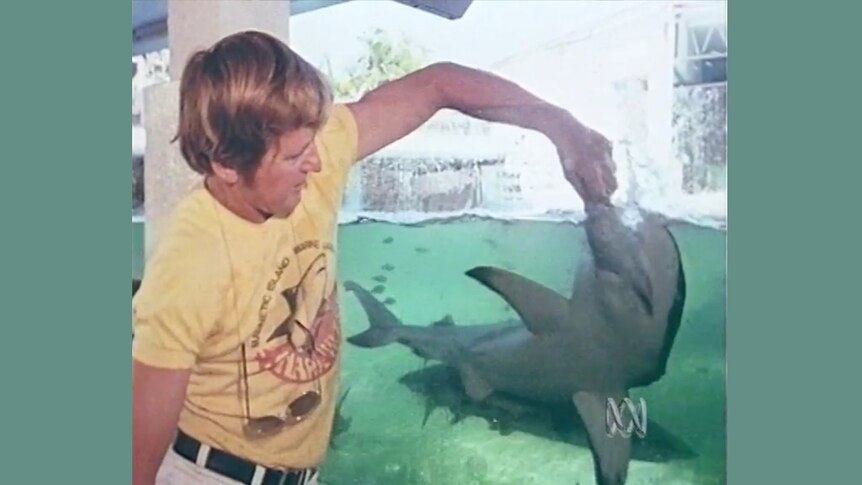 A man feeds a small shark in an aquarium