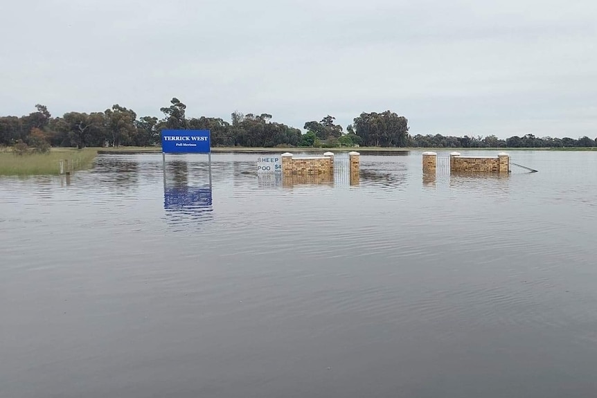 A flooded farm with brick fencing and signage visible over the top