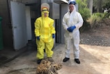Jess Hollard and Luke McCosh are having to remove "sewage sheep" twice a week.