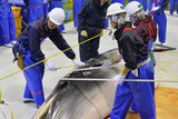 Japanese researchers inspect caught minke whale