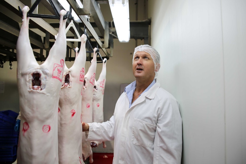 A man dressed in a white coat and hairnet stands beside hanging goat carcases.