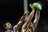 Southern stars...Hawthorn already plays four "home" games a year in Launceston. (file photo)