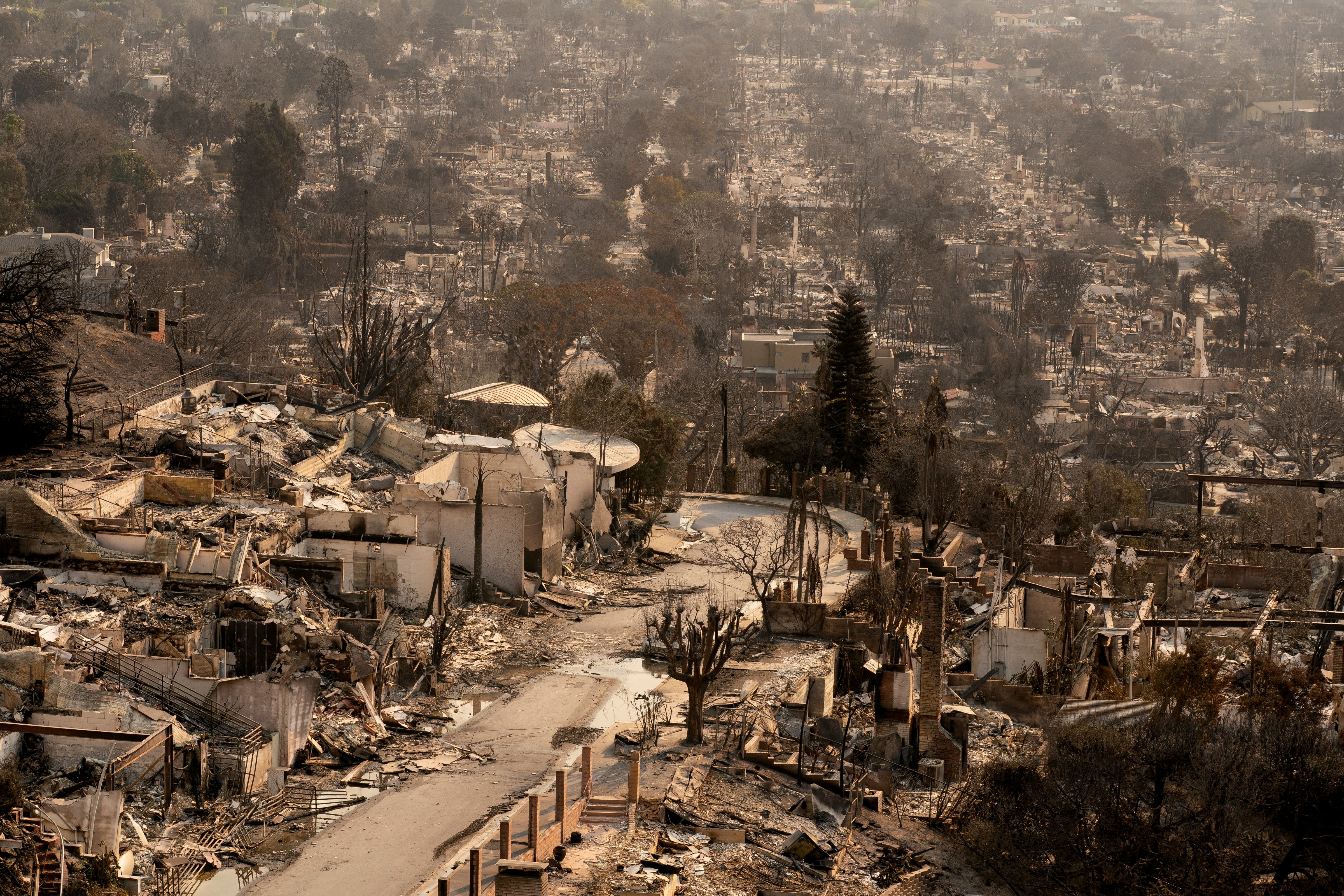 An expansive view of burnt-out homes stretching down a tree-lined hillside.