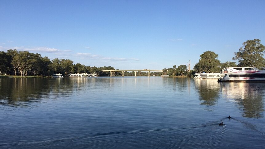 Houseboats line the Murray River at Mildura