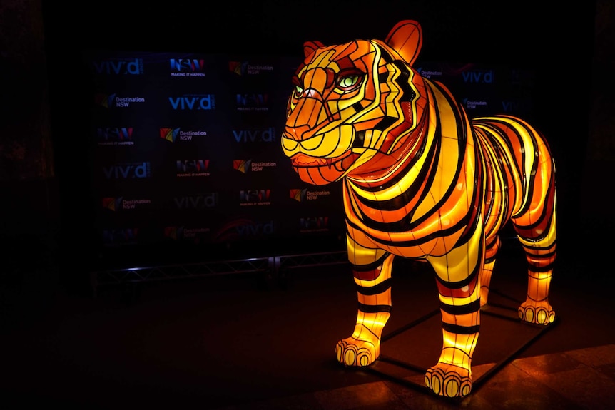 A yellow tiger light in front of a Vivid back drop.
