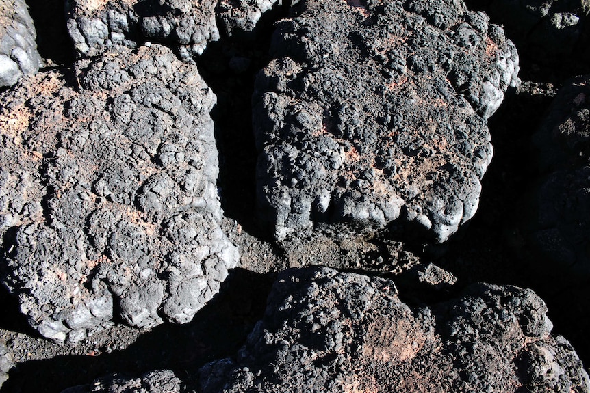 The charcoal remains of a once healthy peat system.