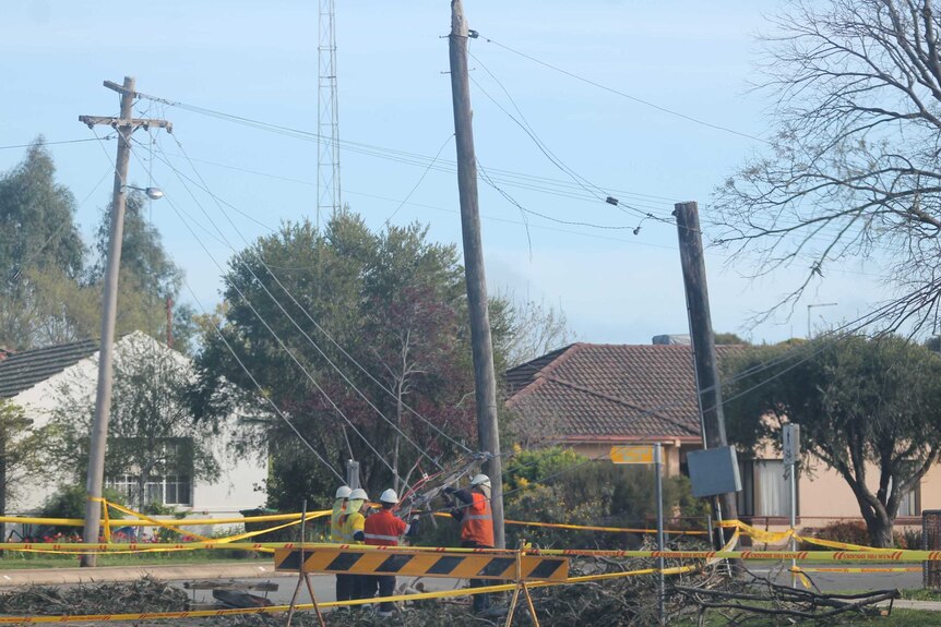 Powerlines damaged by strong winds during a powerful storm in Cootamundra.