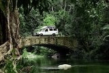 a four wheel drive driving over a bridge in a rainforest 