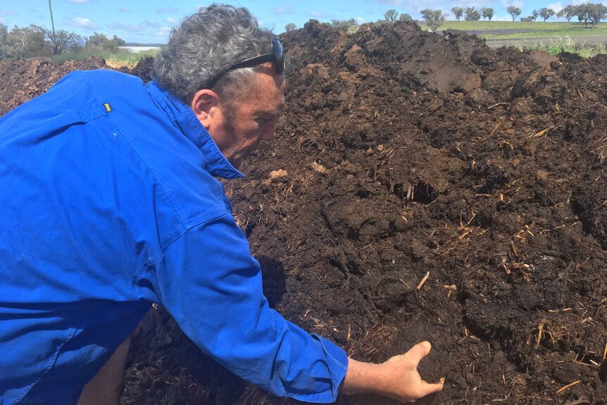 A man in a blue shirt digging his hands into compost