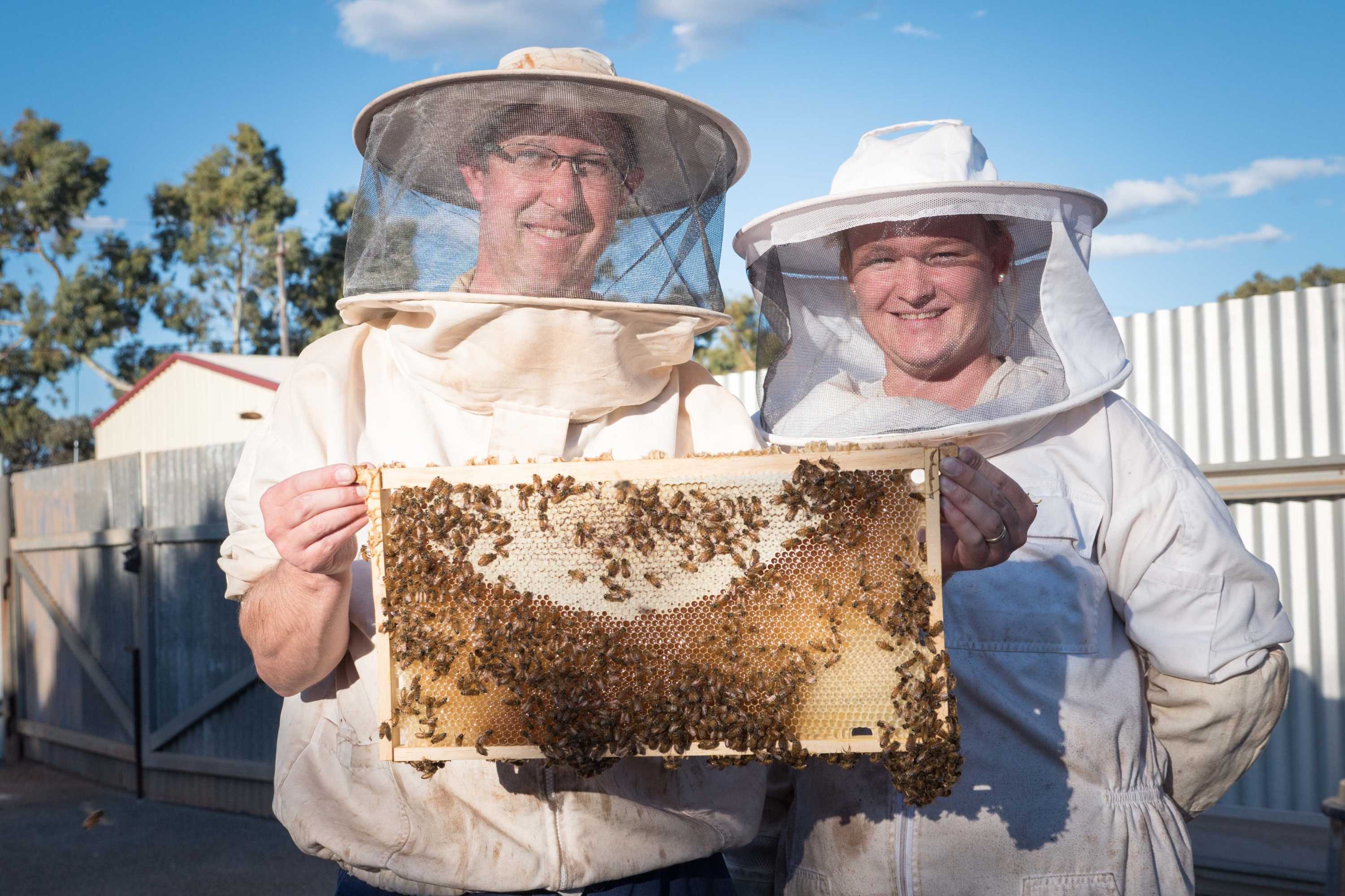 Beehive raid mac os x