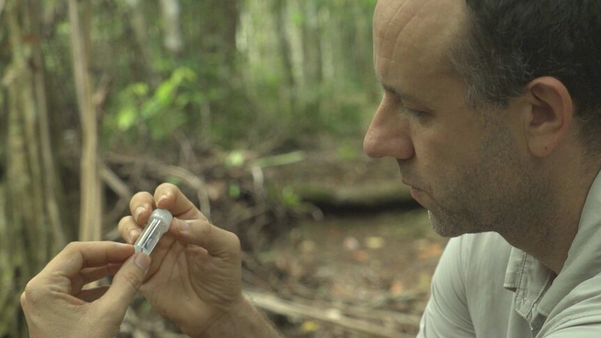 Dr Mark Ziembicki holds a small vial crouched down in a forest