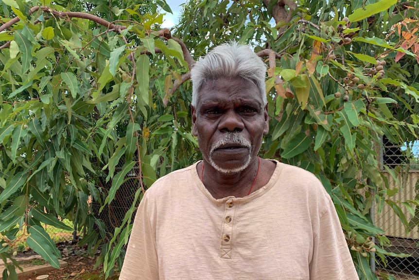 Reggie Wuridjal standing in front of a tree, he is wearing a t-shirt with a buttoned up collar.