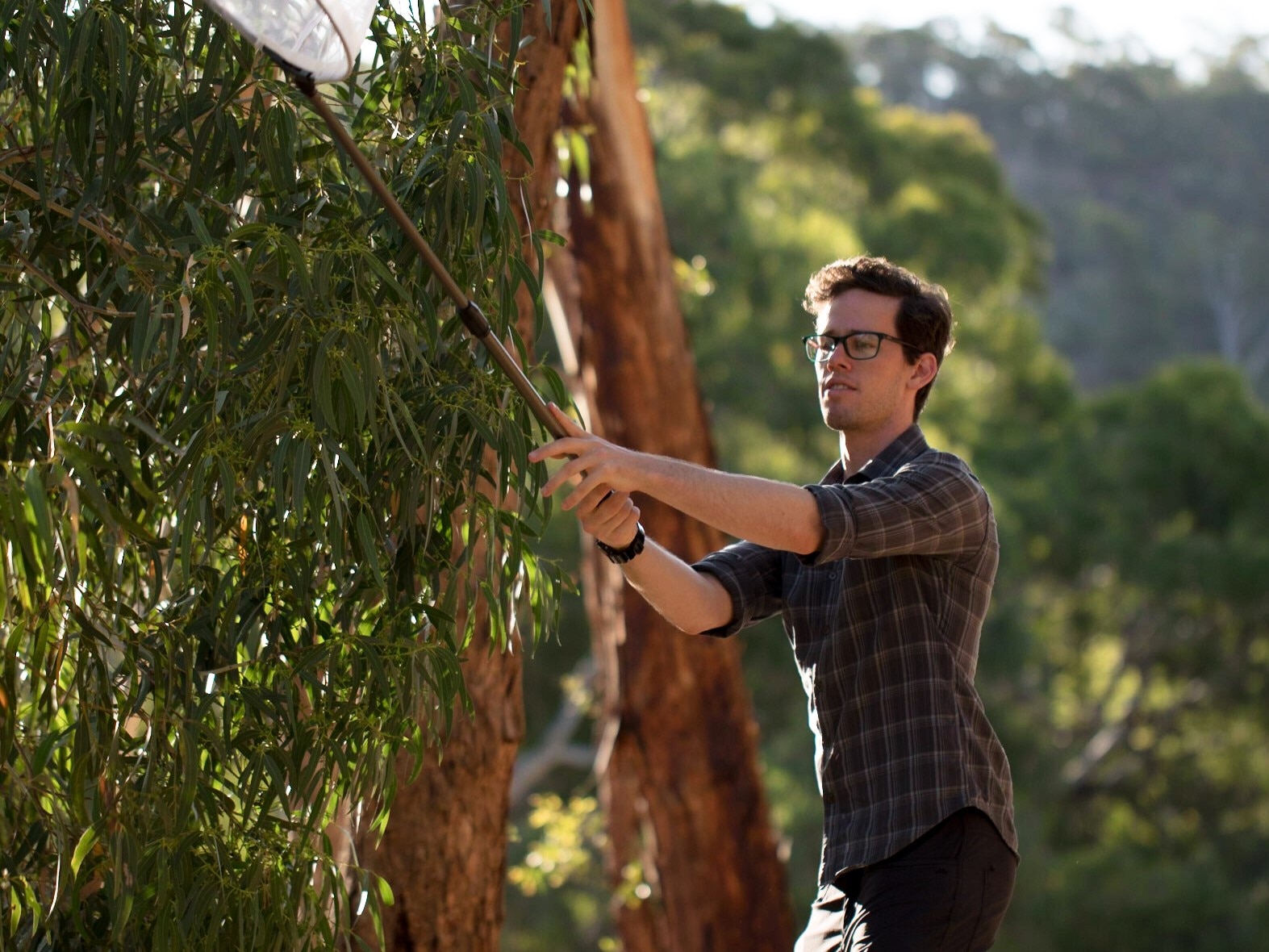 Um homem com cabelos escuros e óculos segura uma rede em um poste enquanto está perto de uma árvore em um matagal.