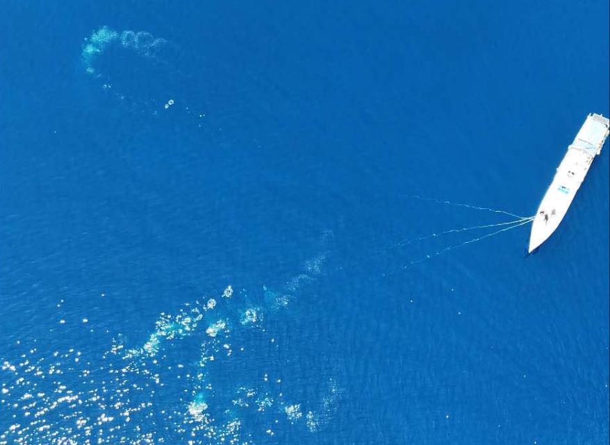 Sailor who spotted illegal fishing vessels in remote WA waters
