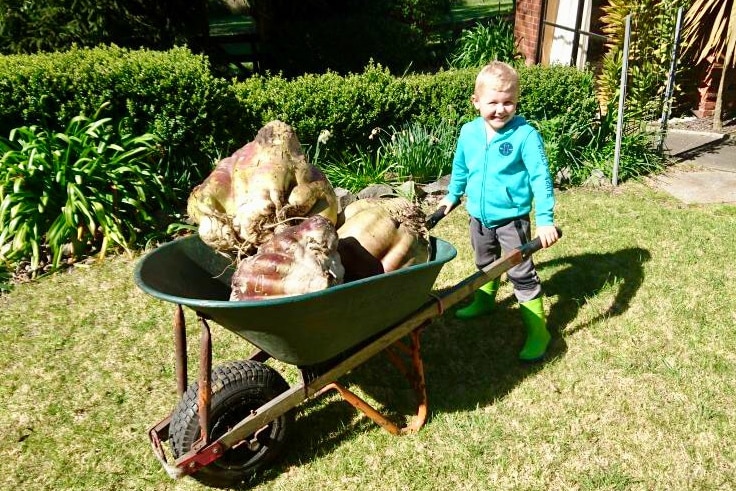 Roger Bignell's grandson Connor Jones with the giant turnip