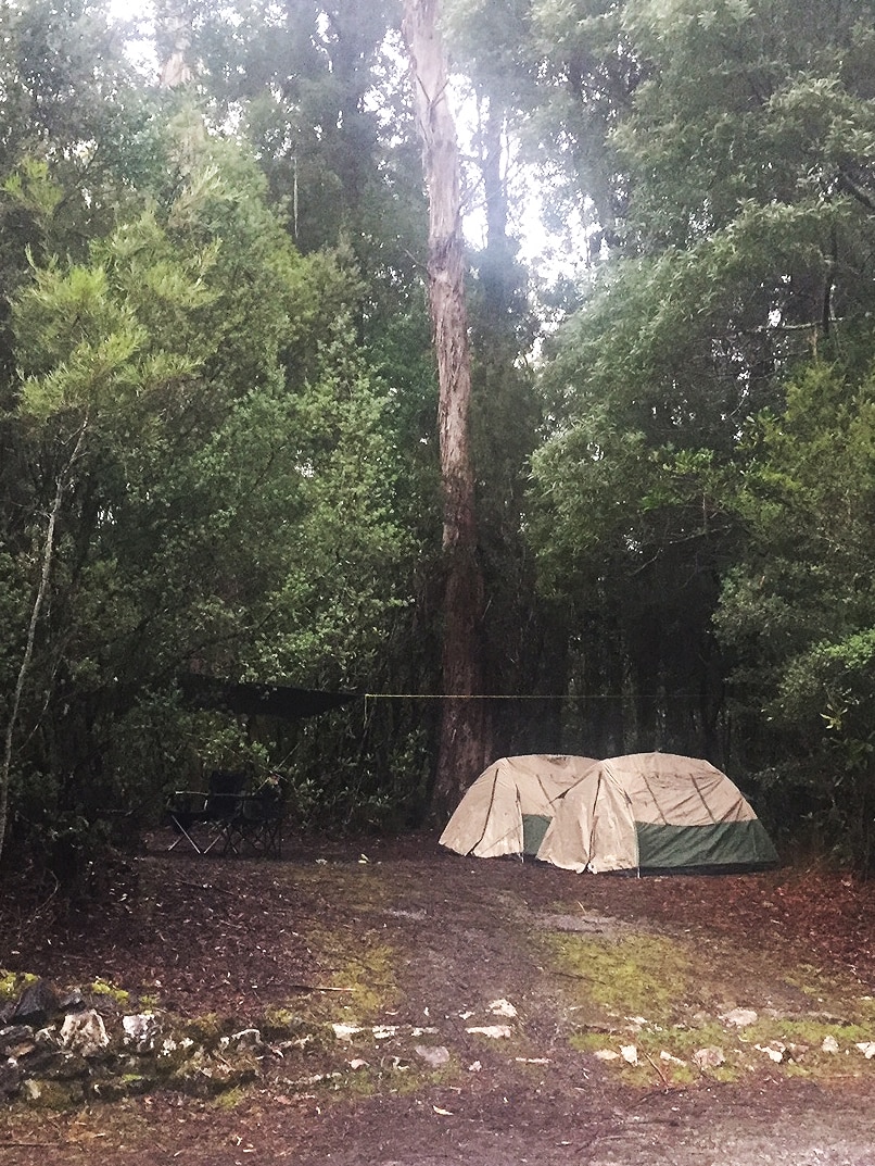 Camp site of John and Stephen Ward, in southwest Tasmania.