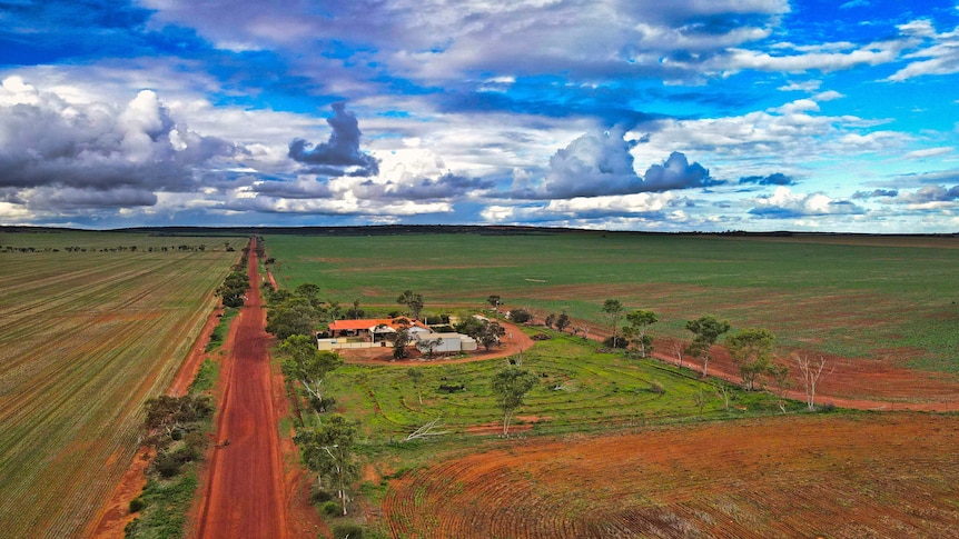 An aerial photo of a dirt road surrounded by green paddocks.