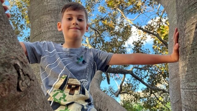 Zen, 8, climbs a tree