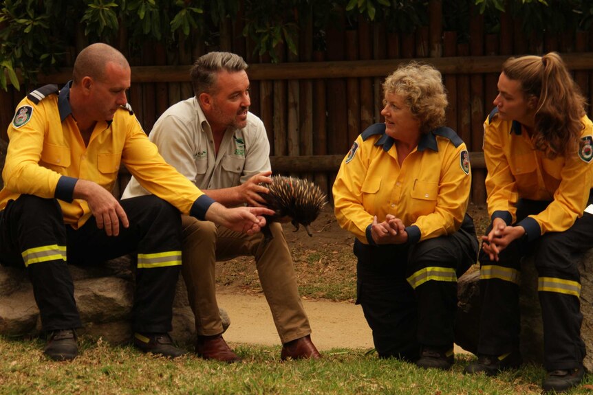 firefighters speaking to a man holding an echidna