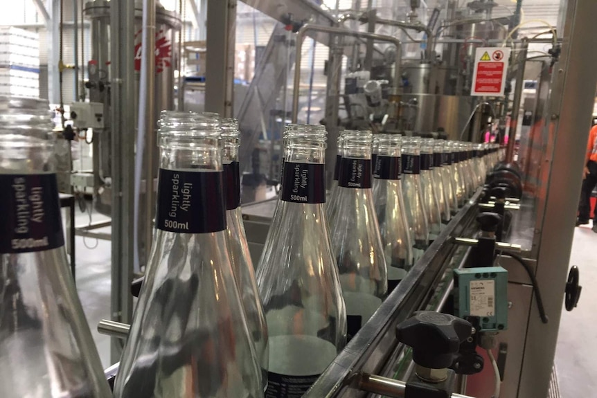 Bottles lined up on production line