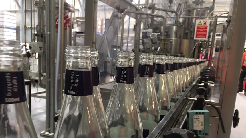 Bottles lined up on production line