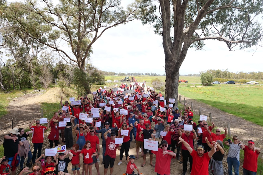 A group of people in red shirts stand in a field holding signs.