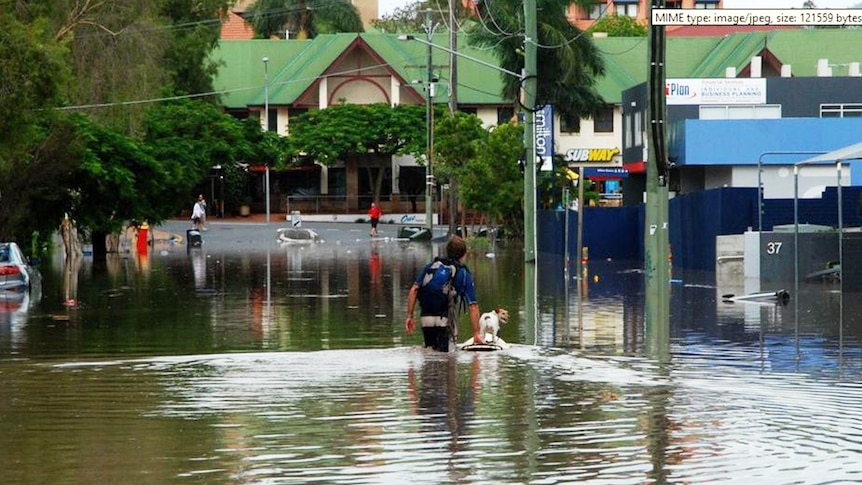 A man floats his dog along flooded Railway Terrace in Milton in Brisbane on January 13, 2011.