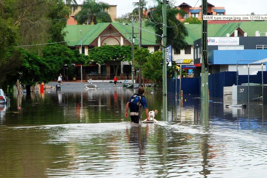 Man floats his dog across flooded road