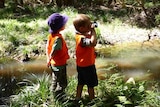Children attend The Nature School