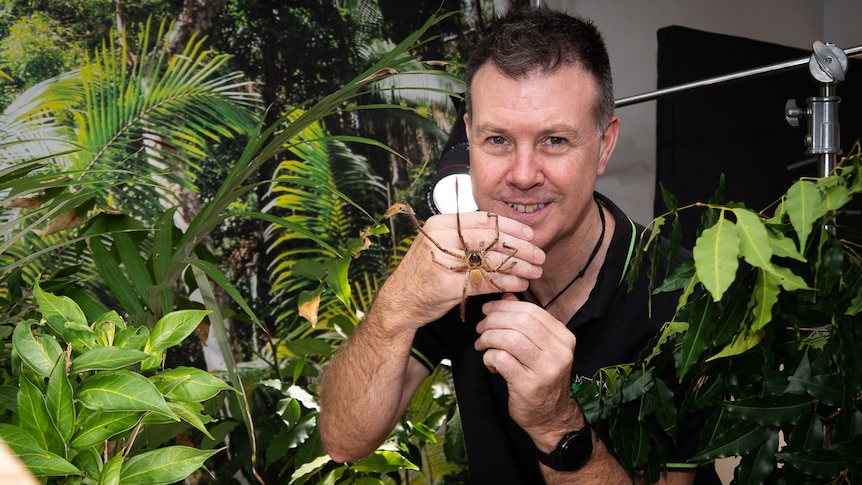 Bug wrangler Alan Henderson reveals tricks of the trade for making nature  documentaries - ABC News