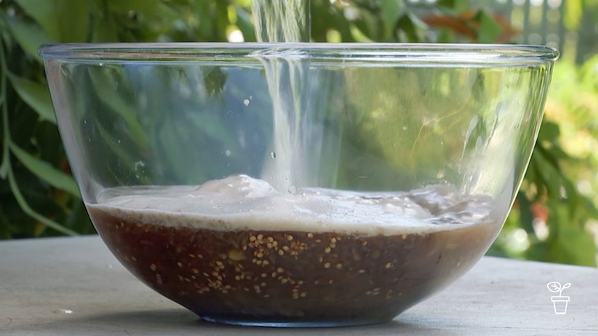 Glass bowl being filled with brownish liquid containing seeds
