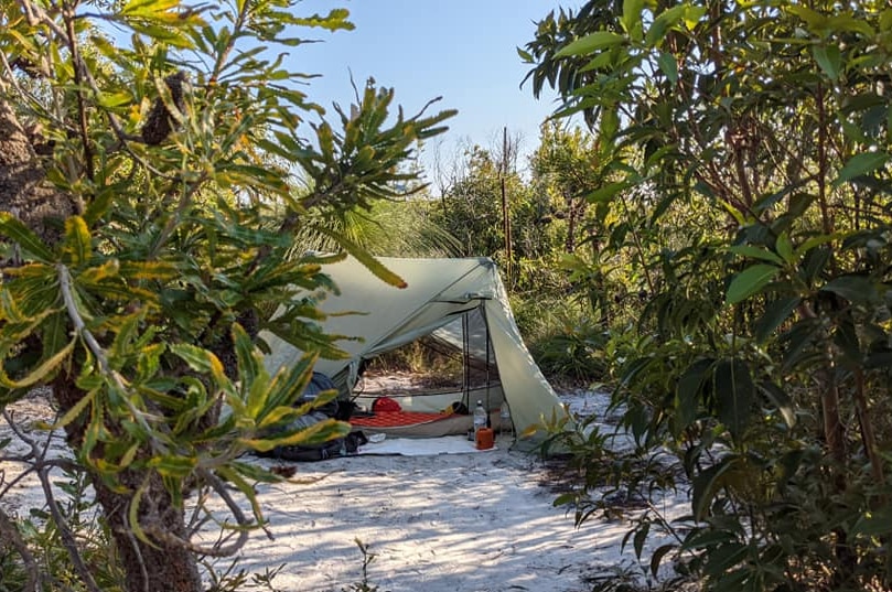 Tent on the sand surrounded by trees