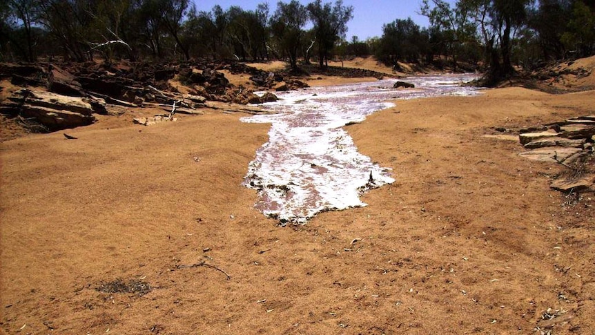 Fresh water in the Murchison in Kalbarri National Park for the first time in three years