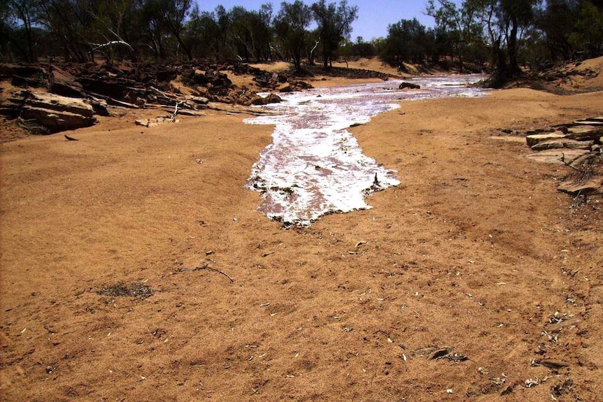 Fresh water in the Murchison in Kalbarri National Park for the first time in three years
