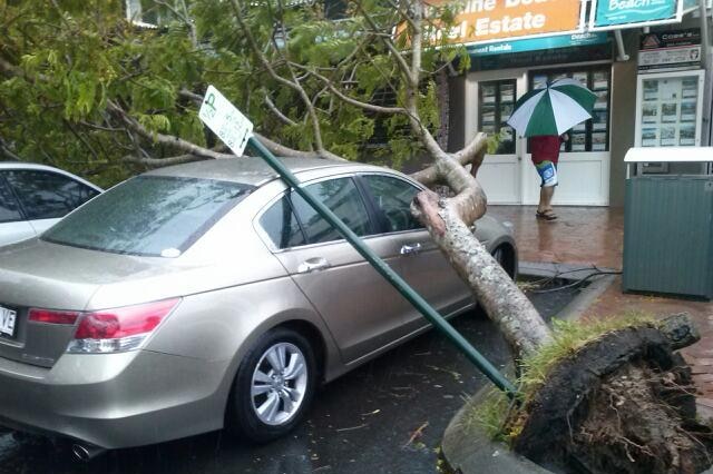 Tree falls onto car at Noosa