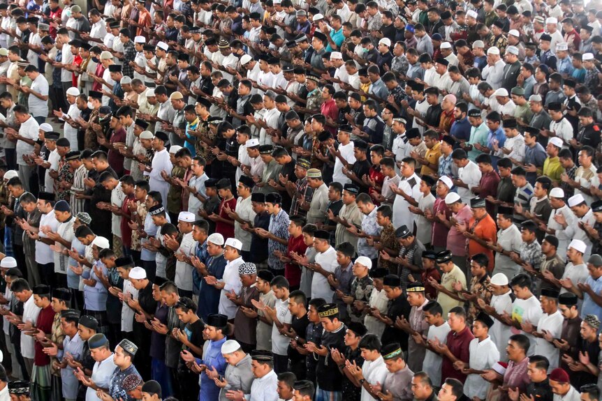 Hundreds of men bow with their hand in front of them in a Mosque in Indonesia.