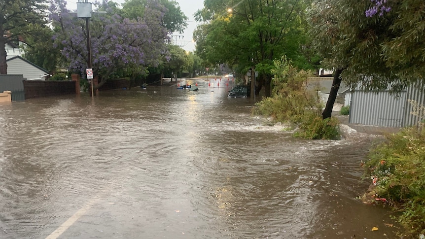 pics of storm water in wayville 