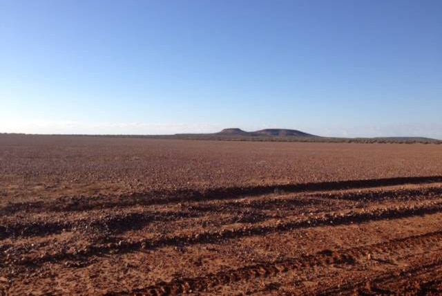 Drought-stricken land in Quilpie in western Queensland