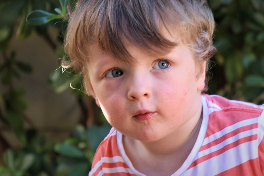 A tight head shot of a young boy.