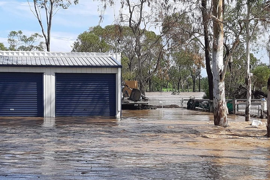 Floodwaters at a property. The brown water comes up the side of a shed, and some fences are partially submerged.