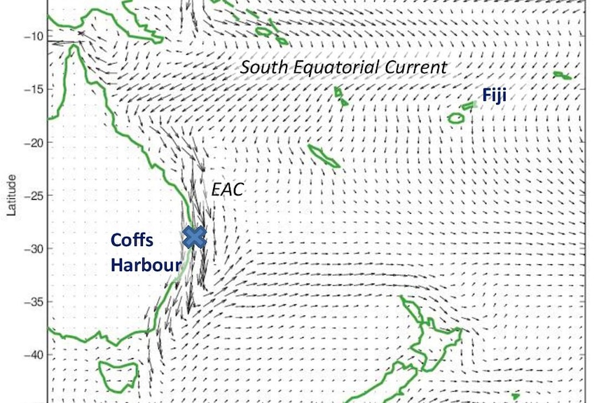 Map showing how current could push a bottle from near Fiji to near Coffs Harbour.