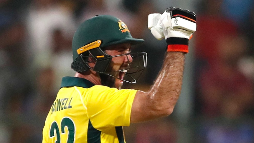 Australia batsman Glenn Maxwell pumps his fist as he celebrates beating India in a Twenty20 match.